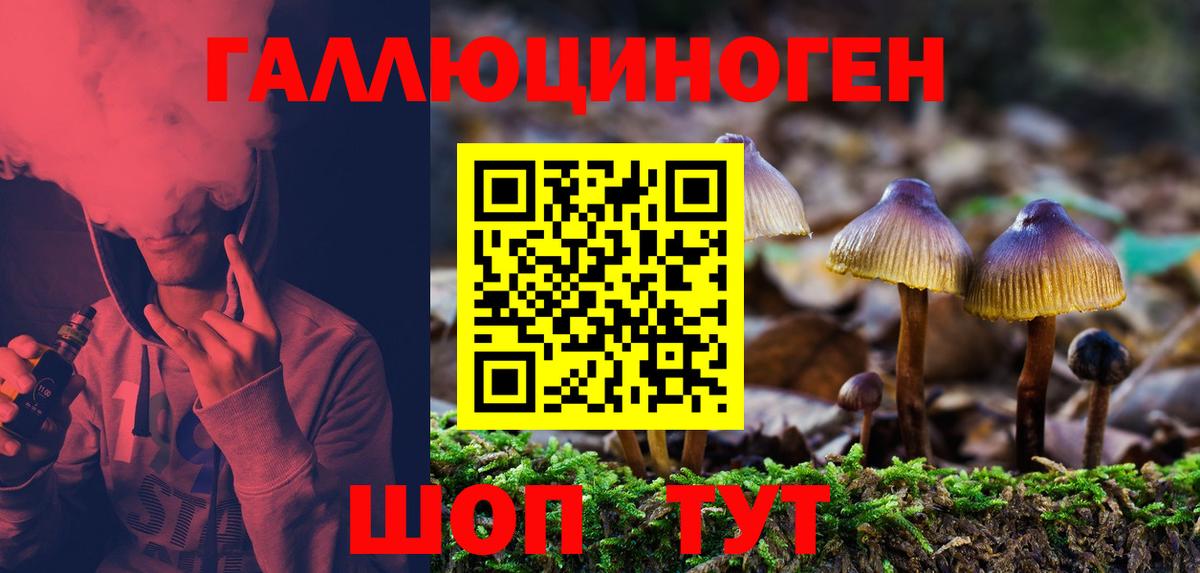 Псилоцибиновые грибы Magic Shrooms  Галлюциногенные грибы Magic Shrooms  Петропавловск-Камчатский  Вход с VPN 